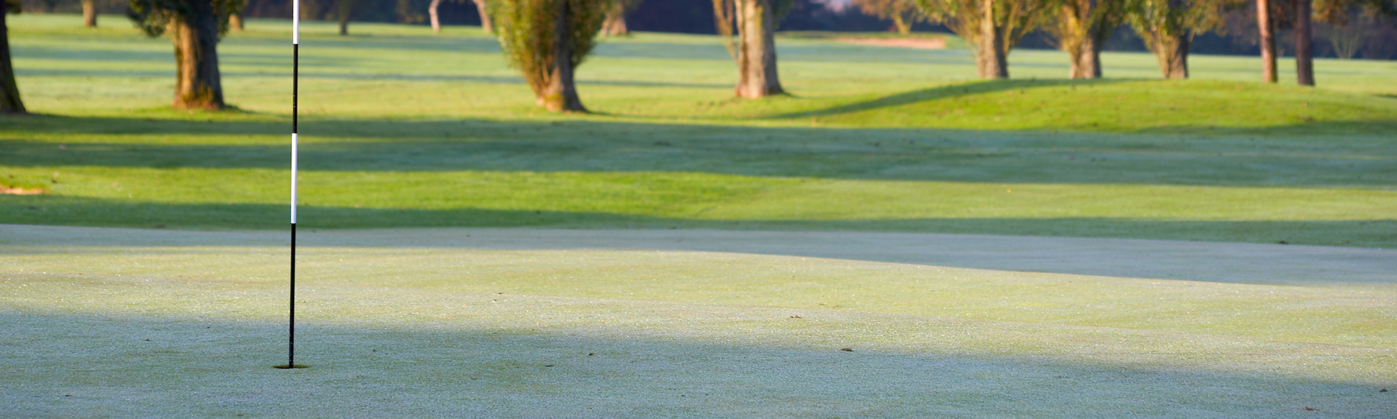 Ganstead Park Golf & Events - Image 5